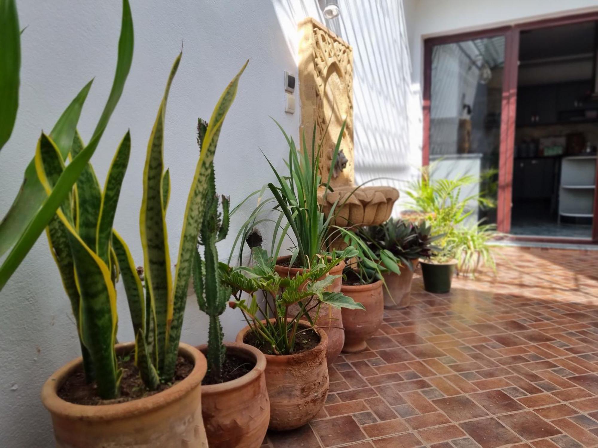 Riad Searenity Tamraght エクステリア 写真